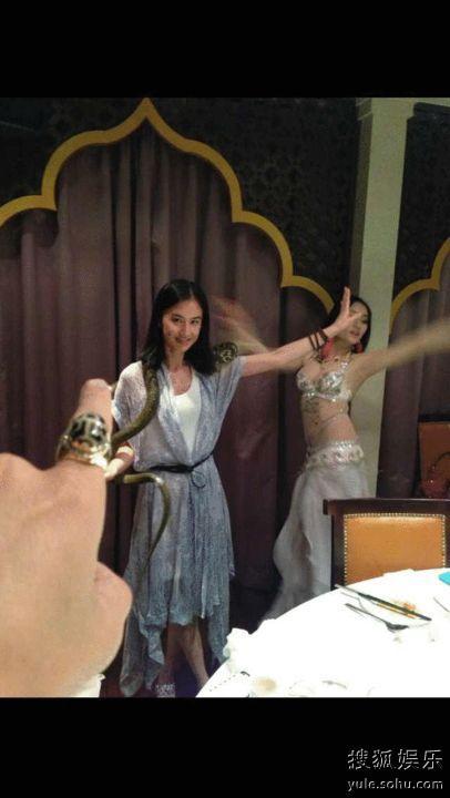 与蛇共舞电影在线观看,惊心动魄的生态奇观 第2张 与蛇共舞电影在线观看,惊心动魄的生态奇观 第2张